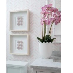 Sea Urchin Framed Art -Sabre Home Decor Sale 103 f31f1a35 2ee4 4cab b9c9 7066c228a93a