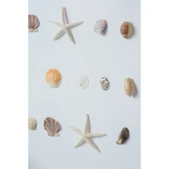 Bespoke Shell Study Art - Champagne Bamboo Frame 9 Bespoke Shell Study Art - Champagne Bamboo Frame -Sabre Home Decor Sale 10 eb29309e 3d34 4592 be99 de55d7ff43a0