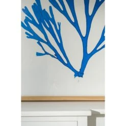 Seaweed Framed Art - Print F -Sabre Home Decor Sale 10 f43863d0 cb54 45a6 9cf9 8ae5124170ca