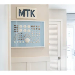 Bespoke Shell Study Framed Art I - Light Blue -Sabre Home Decor Sale 11 3e6f676d 648d 4cf6 b142 59411bfa8efa