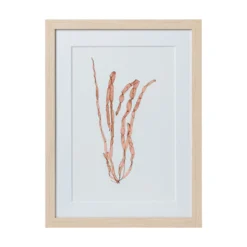 Seaweed Framed Art - Print E -Sabre Home Decor Sale 11 909420a5 ffb5 44d2 a552 91b6f3ed3815