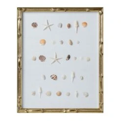 Bespoke Shell Study Art - Champagne Bamboo Frame