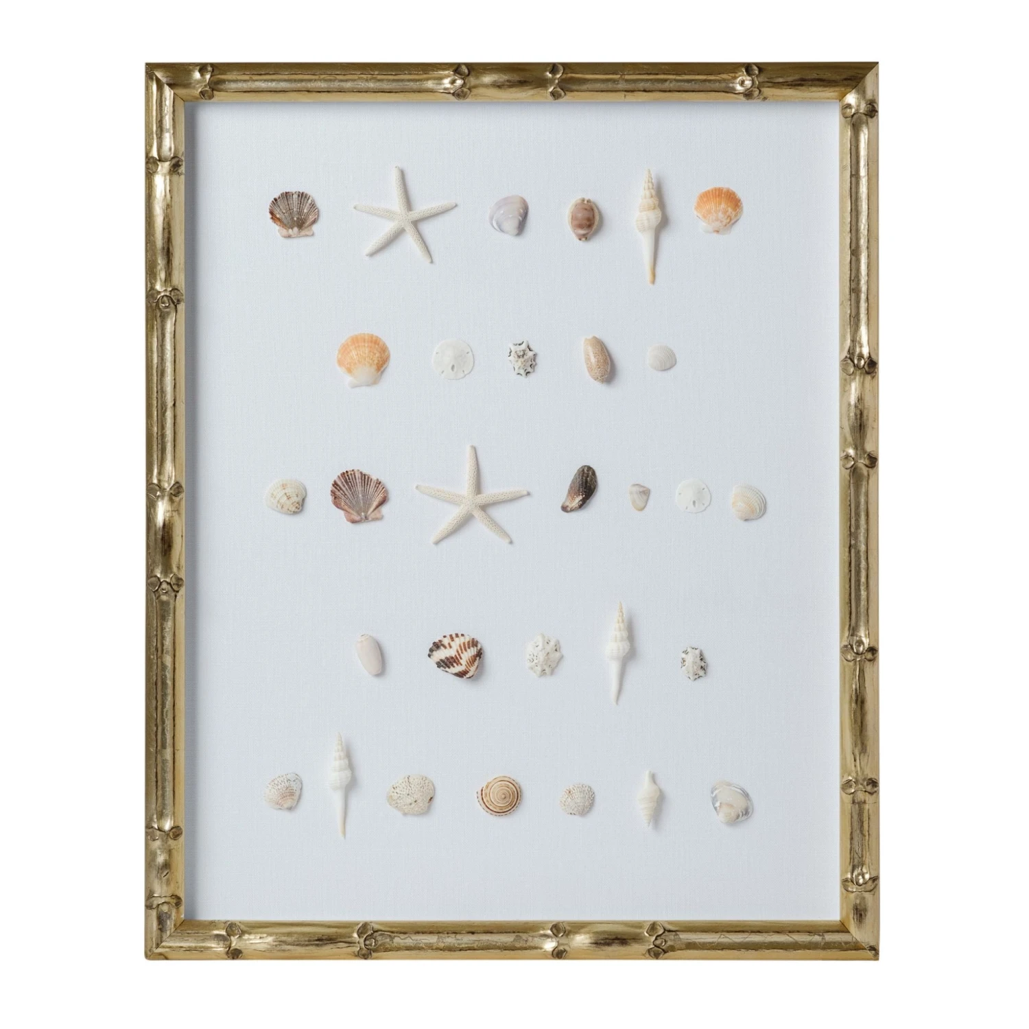 Bespoke Shell Study Art - Champagne Bamboo Frame 1 Bespoke Shell Study Art - Champagne Bamboo Frame