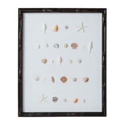 Bespoke Shell Study Art - Walnut Bamboo Frame