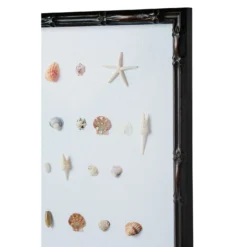Bespoke Shell Study Art - Walnut Bamboo Frame -Sabre Home Decor Sale 13 210255e9 2410 4c5c b8fc 0c285f8bcf92