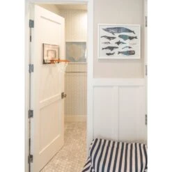 Whale Series III Framed Art -Sabre Home Decor Sale 13 875dc5e6 8366 42e9 8a7d fe68893907b9