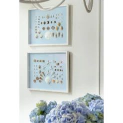 Bespoke Shell Study Framed Art I - Light Blue -Sabre Home Decor Sale 13 e5b83533 52e3 4b40 85bf 1f4b869d4620