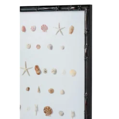 Bespoke Shell Study Art - Walnut Bamboo Frame -Sabre Home Decor Sale 15 21b12863 3955 44c0 8f28 6e599aca0b86