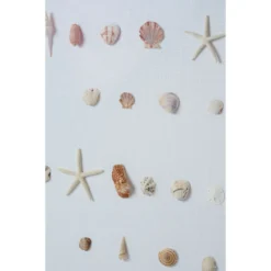 Bespoke Shell Study Art - Walnut Bamboo Frame -Sabre Home Decor Sale 16 0055b16d 5878 4737 b769 03a99b2bd304