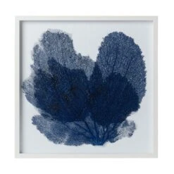 Sea Fan Framed Art - Navy