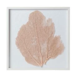 Sea Fan Framed Art - Bahamian Pink