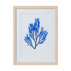 Seaweed Framed Art - Print C 14 Seaweed Framed Art - Print C -Sabre Home Decor Sale 1 1640b7c6 3545 4e9e a2fb 494b354a5f8a