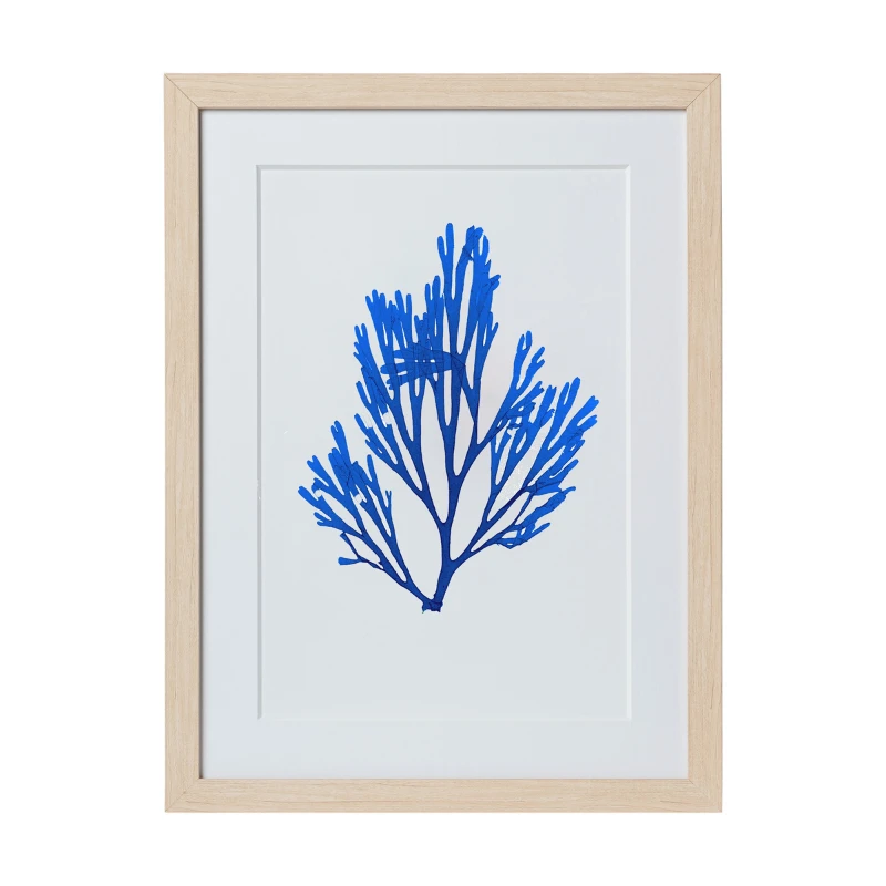 Seaweed Framed Art - Print C 7 Seaweed Framed Art - Print C - Image 7
