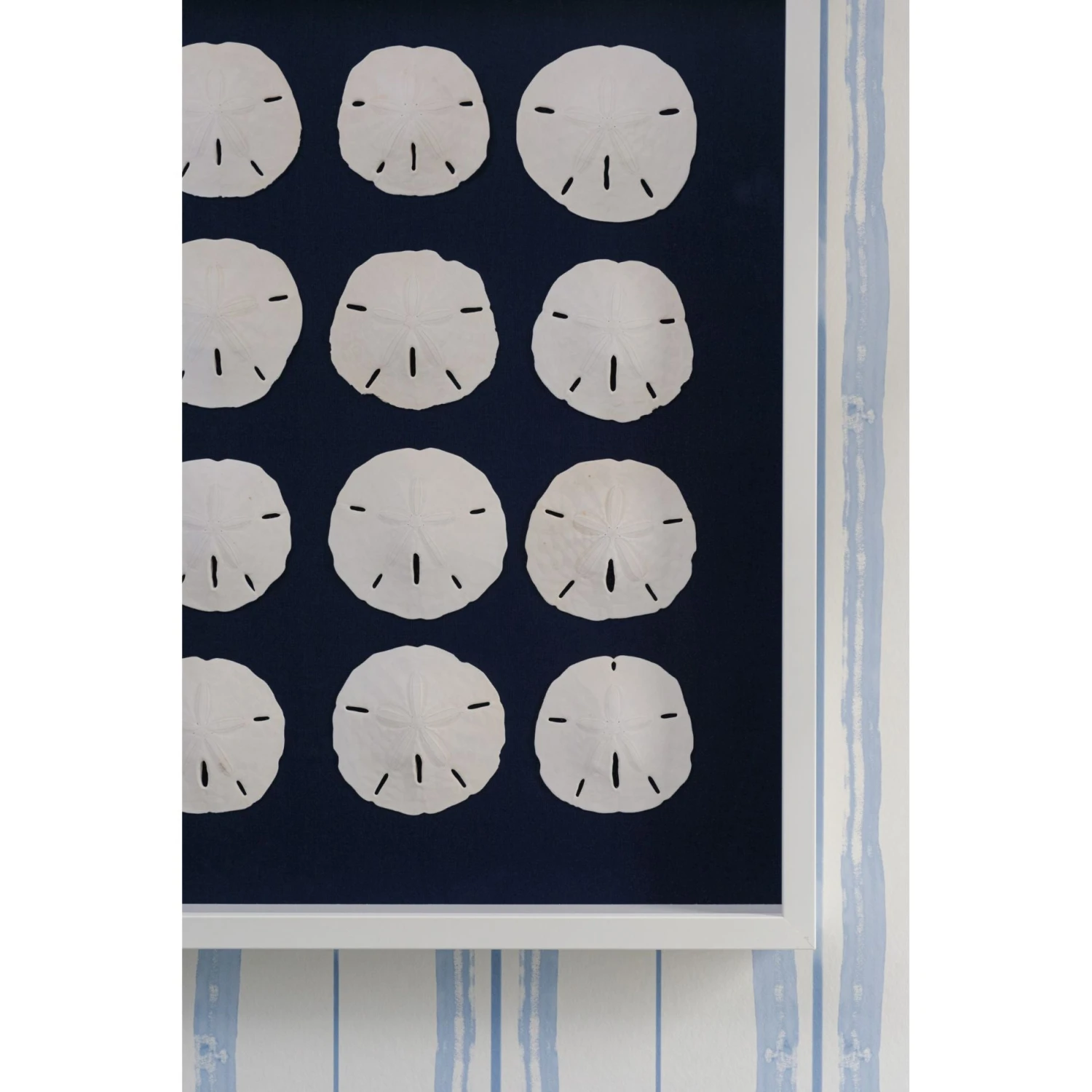 Sand Dollar Framed Art - Navy 4 Sand Dollar Framed Art - Navy - Image 4