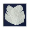 Sea Fan Framed Art - White On Navy