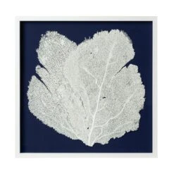 Sea Fan Framed Art - White On Navy
