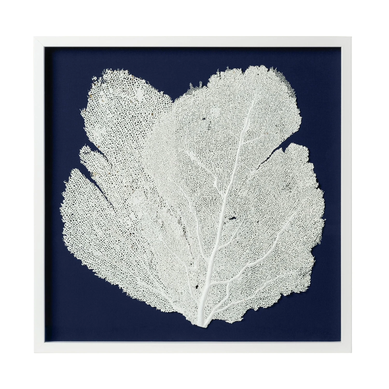 Sea Fan Framed Art - White On Navy 1 Sea Fan Framed Art - White On Navy