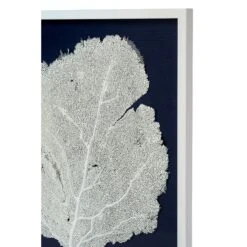 Sea Fan Framed Art - White On Navy 6 Sea Fan Framed Art - White On Navy -Sabre Home Decor Sale 22 1e6ec7cf 9366 440b b3f2 ae41d70e0021