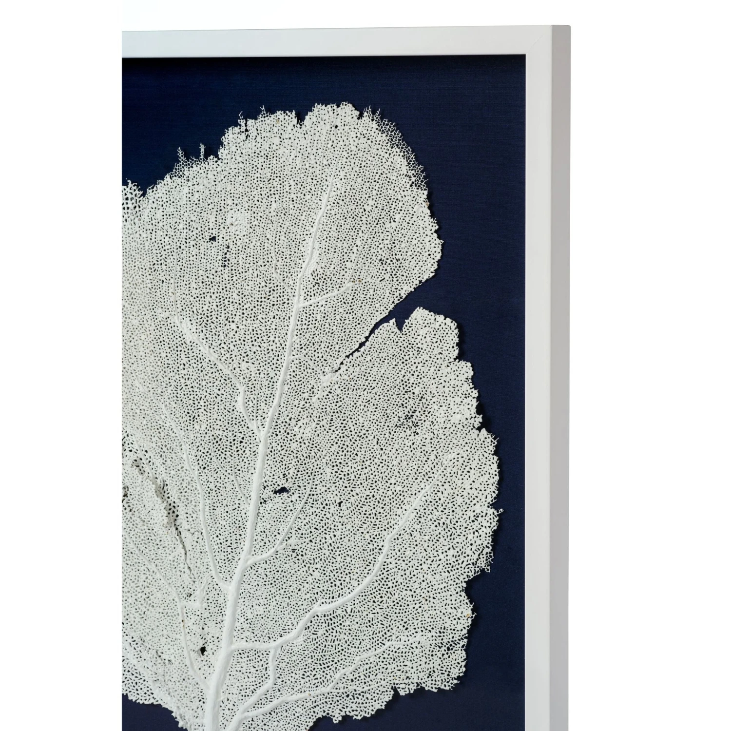 Sea Fan Framed Art - White On Navy 3 Sea Fan Framed Art - White On Navy - Image 3