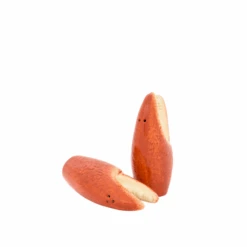 Lobster Claw Salt & Pepper Shakers -Sabre Home Decor Sale 2 2d173325 d92a 41d0 bddb e94c418339fb