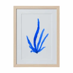 Seaweed Framed Art - Print B -Sabre Home Decor Sale 2 df5567cd ee76 4319 ad4a 3208a8e8f072