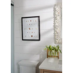 Bespoke Shell Study Art - Walnut Bamboo Frame -Sabre Home Decor Sale 30 42b0c227 cc14 4819 b06d cff48678e126