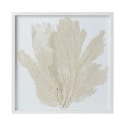 Sea Fan Framed Art - Oyster