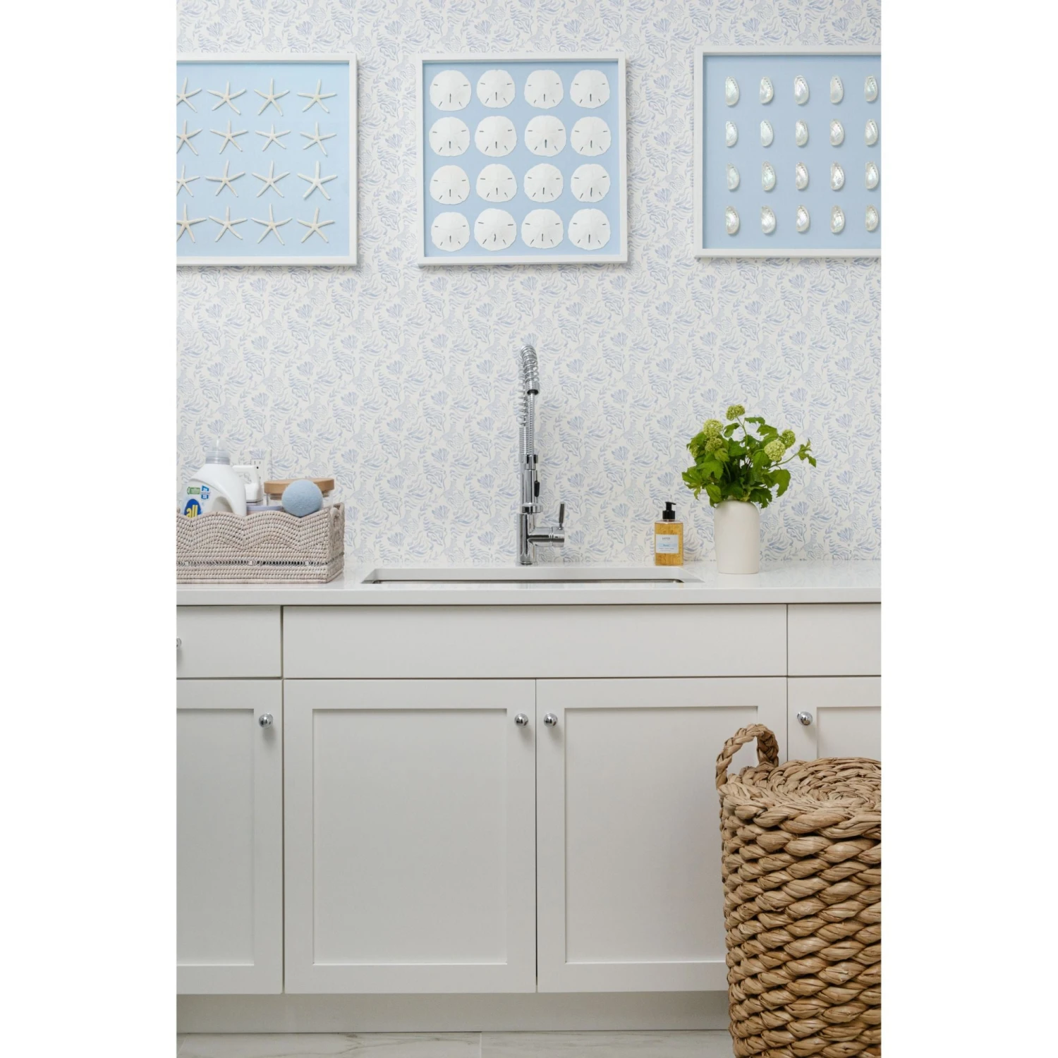 Sand Dollar Framed Art - Light Blue 2 Sand Dollar Framed Art - Light Blue - Image 2