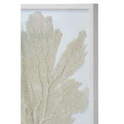 Sea Fan Framed Art - Oyster -Sabre Home Decor Sale 32 a30230fa 4ada 4a35 b2d7 c9af996bea35