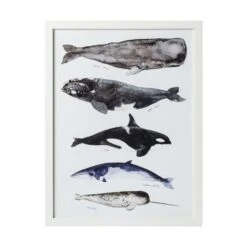 Whale Series II Framed Art