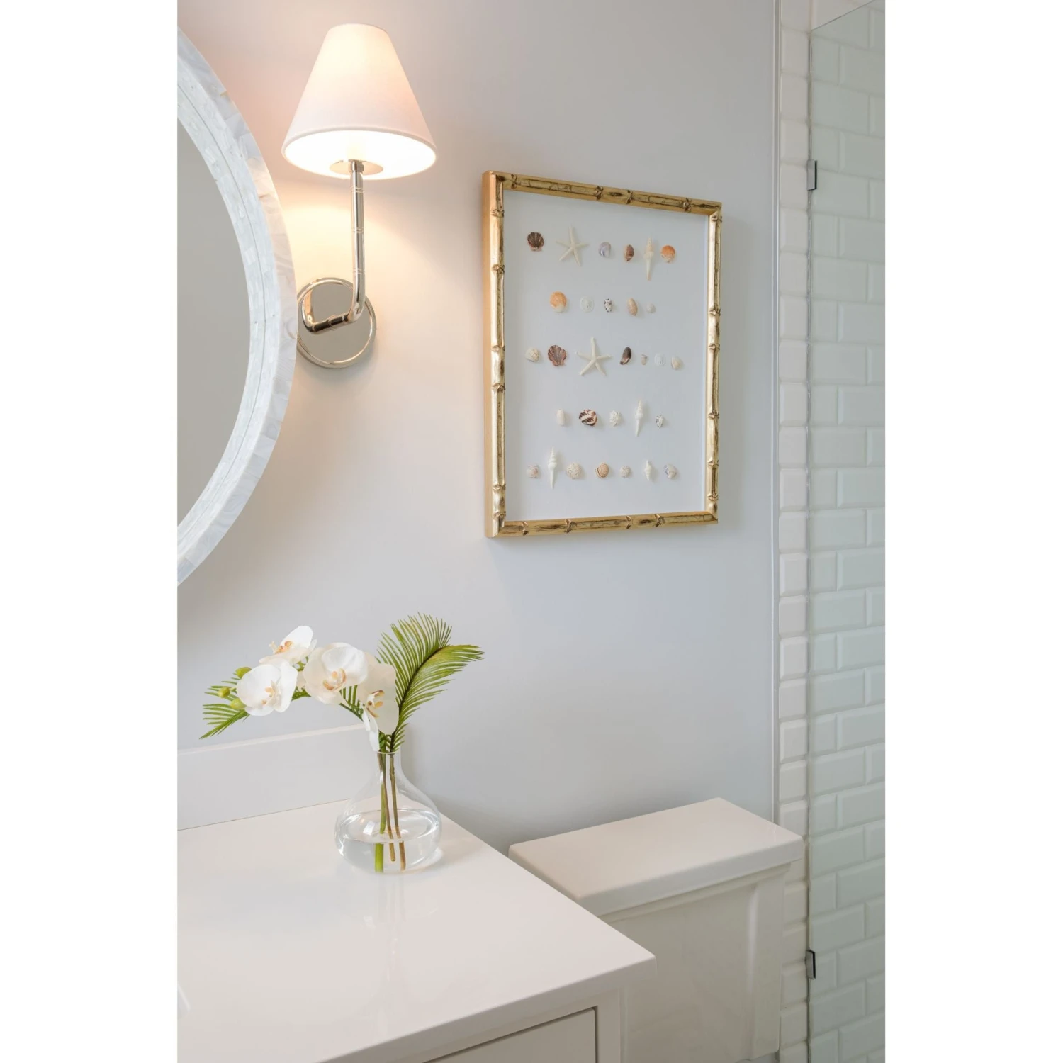 Bespoke Shell Study Art - Champagne Bamboo Frame 2 Bespoke Shell Study Art - Champagne Bamboo Frame - Image 2