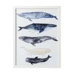 Whale Series I Framed Art