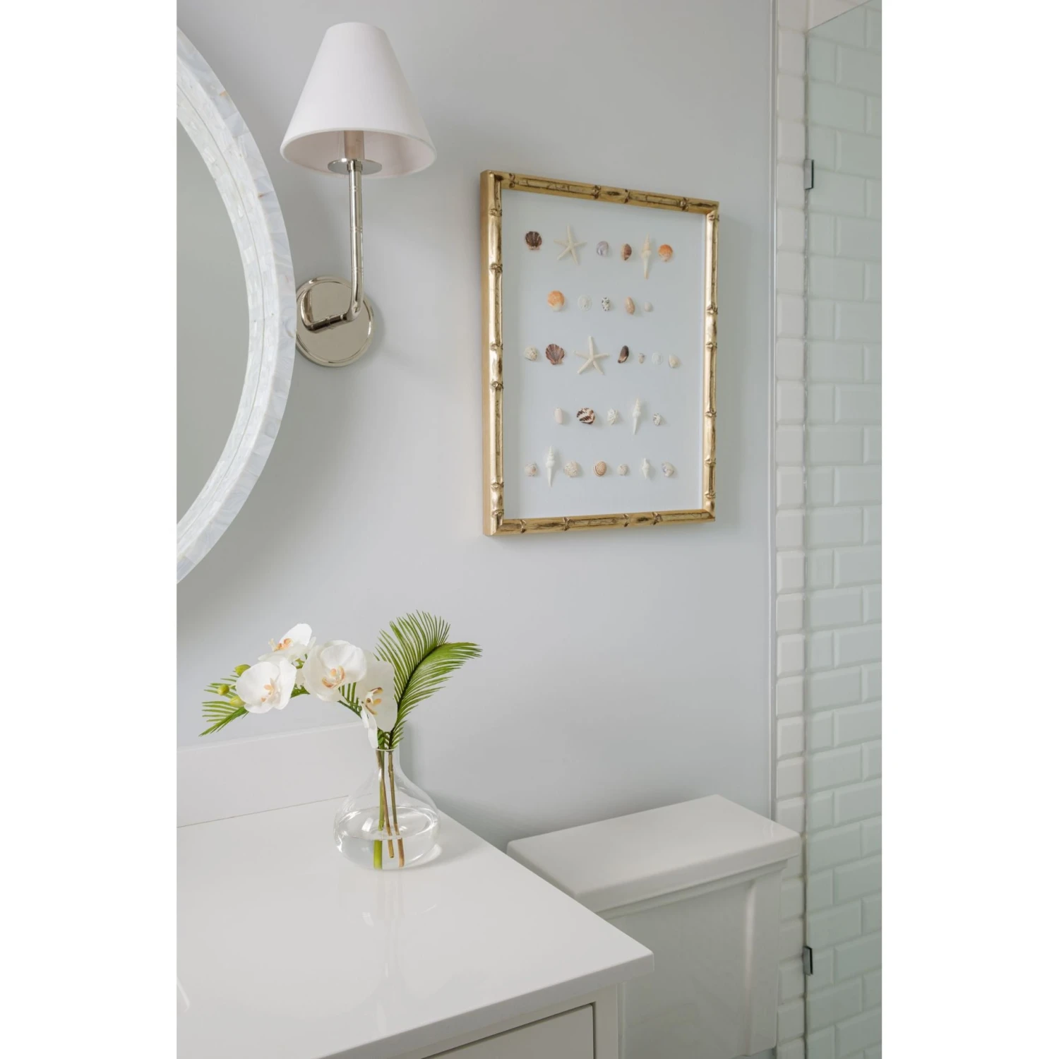 Bespoke Shell Study Art - Champagne Bamboo Frame 5 Bespoke Shell Study Art - Champagne Bamboo Frame - Image 5