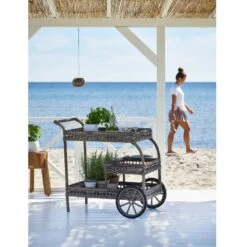 Napeague Indoor/Outdoor Bar Cart - Antique -Sabre Home Decor Sale 35 de84f4e2 4cb6 43db b3aa 658fa2ae3f9f