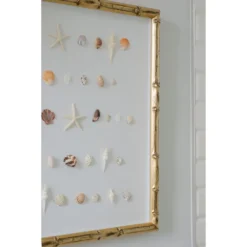 Bespoke Shell Study Art - Champagne Bamboo Frame 8 Bespoke Shell Study Art - Champagne Bamboo Frame -Sabre Home Decor Sale 36 d0c511db c561 4292 a475 e35576440fab
