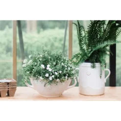 Cape Handthrown Crock -Sabre Home Decor Sale 45 dd72302f 8a8c 487c 825d 20195c18f1c8