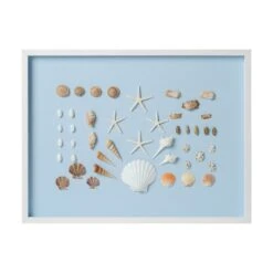 Bespoke Shell Study Framed Art I - Light Blue