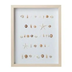 Bespoke Shell Study Art - Maple Frame