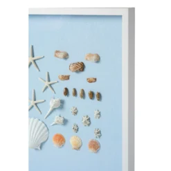 Bespoke Shell Study Framed Art I - Light Blue -Sabre Home Decor Sale 5 00d0e3bf 8f26 459c aedc 5a355e9e789b