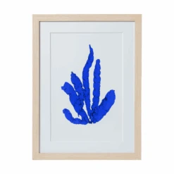 Seaweed Framed Art - Print D -Sabre Home Decor Sale 6 7a36b177 ffdb 4dbb 907c 2d549509b3c2