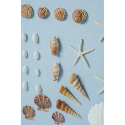 Bespoke Shell Study Framed Art I - Light Blue -Sabre Home Decor Sale 6 cde7999b efa4 4e70 a02f 737ec163f488