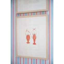 Crustacean Framed Art Print -Sabre Home Decor Sale 76 2dc1e8c6 a151 4ff6 a52a 381aa09b36b3