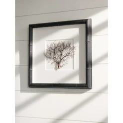 Exotic Sea Fan Art -Sabre Home Decor Sale 85 163ee792 55b2 45dc b8c8 9607cd223600
