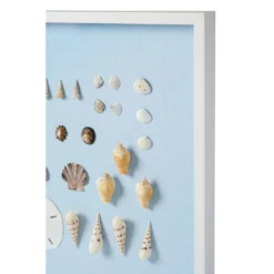 Bespoke Shell Study Framed Art II - Light Blue -Sabre Home Decor Sale 8 d4b73005 da23 4514 8e47 f3274926f5b2