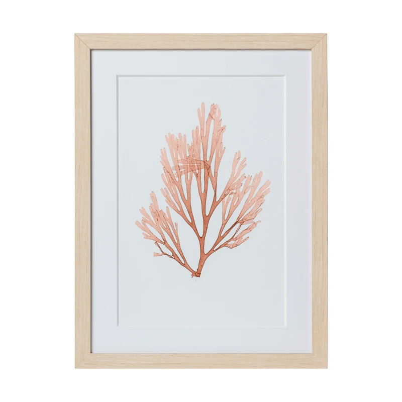 Seaweed Framed Art - Print C 8 Seaweed Framed Art - Print C - Image 8