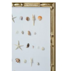 Bespoke Shell Study Art - Champagne Bamboo Frame 11 Bespoke Shell Study Art - Champagne Bamboo Frame -Sabre Home Decor Sale 9 aabc2472 0078 4ceb b654 ddcfbef3ec92