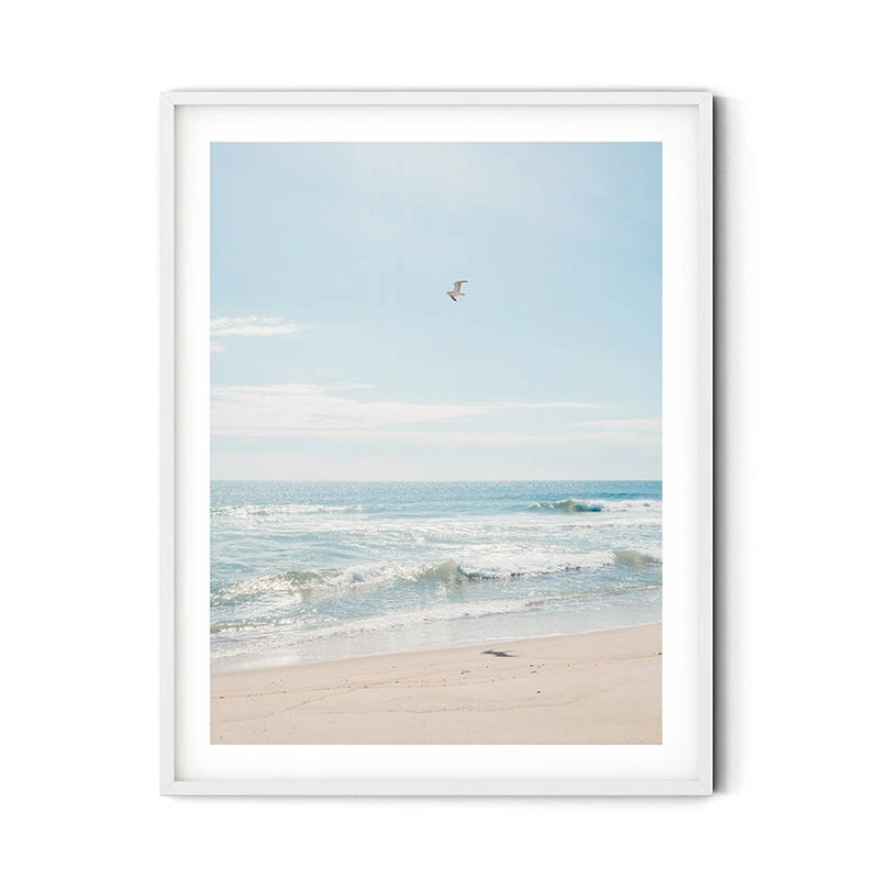 Tom Nevers Gull Print 3 Tom Nevers Gull Print - Image 3