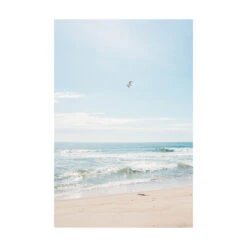 Tom Nevers Gull Print