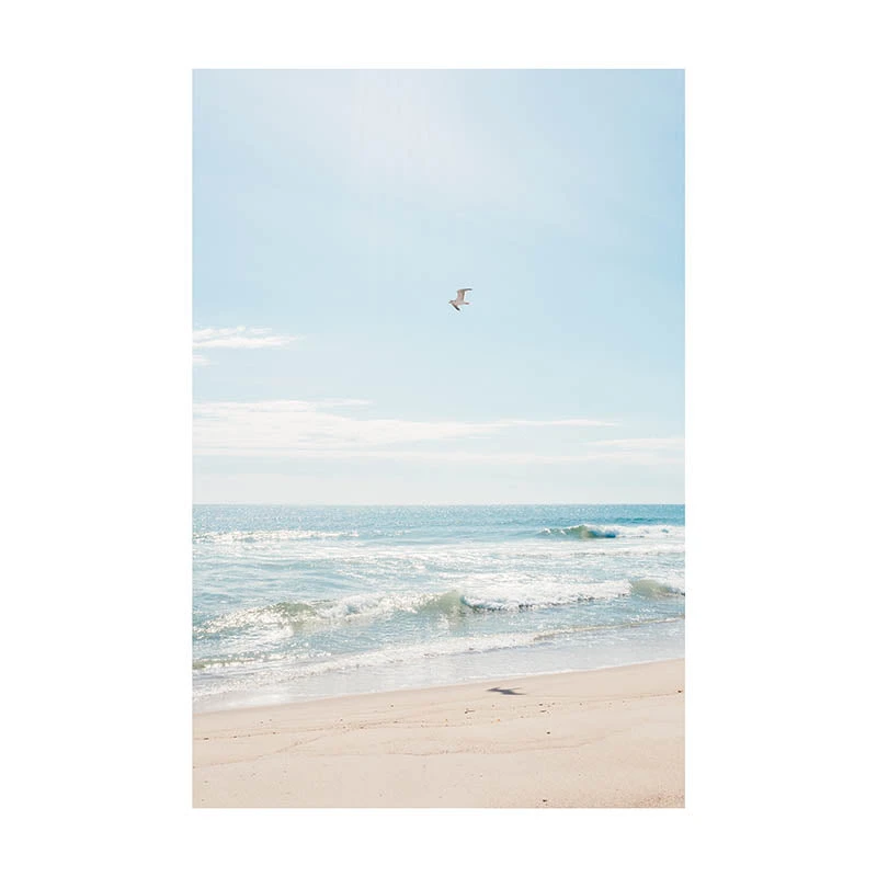 Tom Nevers Gull Print 1 Tom Nevers Gull Print