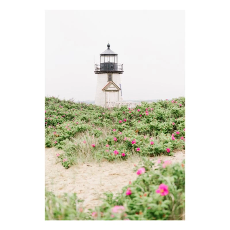 Dunes At Brant Point In Spring 2 Print 1 Dunes At Brant Point In Spring 2 Print
